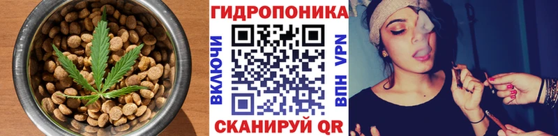 купить наркоту  Игарка  Печенье с ТГК конопля 