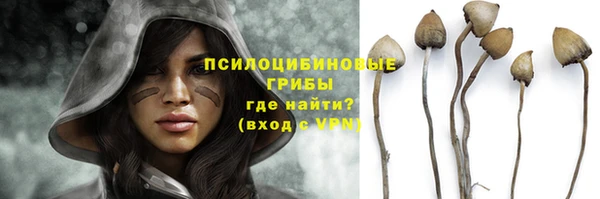 гидра Волосово
