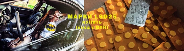 mdpv Вяземский