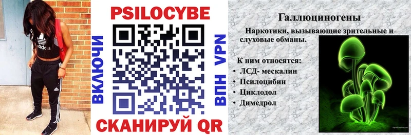 площадка телеграм Игарка Галлюциногенные грибы Psilocybine cubensis как найти закладки кракен tor